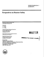 Perspectives on reactor safety /