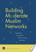 Building moderate Muslim networks /