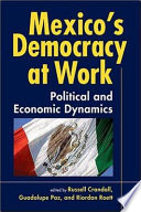 Mexico's democracy at work : political and economic dynamics /