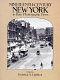 Nineteenth-century New York in rare photographic views /