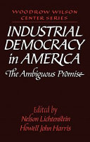 Industrial democracy in America : the ambiguous promise /
