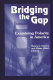 Bridging the gap : examining polarity in America /