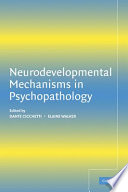 Neurodevelopmental mechanisms in psychopathology /