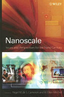 Nanoscale : issues and perspectives for the nano century /