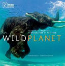 Wild planet : celebrating wildlife photographer of the year /