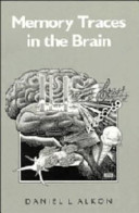 Memory traces in the brain /