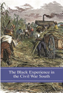 The Black experience in the Civil War South /