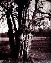 Eugène Atget's trees : newly discovered photographs from the Bibliotheq̀ue nationale de France /