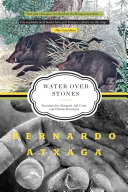 Water over stones : a novel /