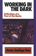 Working in the dark : reflections of a poet of the barrio /