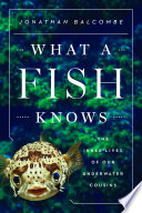 What a fish knows : the inner lives of our underwater cousins /
