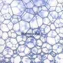 Watercube : the book : Beijing National Aquatics Centre, People's Republic of China /