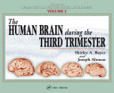 The human brain during the third trimester /