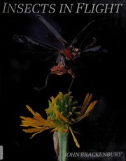 Insects in flight /
