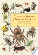 Common spiders of North America /
