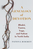 A genealogy of devotion : Bhakti, Tantra, Yoga, and Sufism in North India /