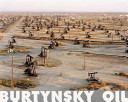 Burtynsky : oil /