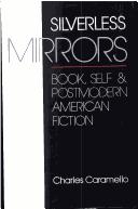 Silverless mirrors : book, self & postmodern American fiction /