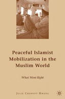 Peaceful Islamist mobilization in the Muslim world : what went right /