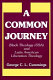 A common journey : Black theology (USA) and Latin American liberation theology /