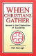 When Christians gather : issues in the celebration of Eucharist /