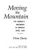 Moving the mountain : the women's movement in America since 1960 /
