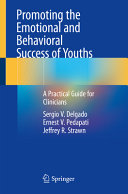 Promoting the emotional and behavioral success of youths : a practical guide for clinicians /