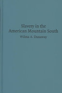 Slavery in the American Mountain South /