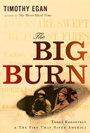 The big burn : Teddy Roosevelt and the fire that saved America /