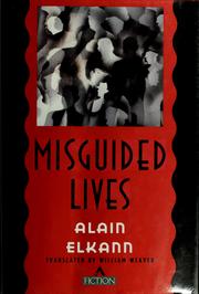 Misguided lives : a novel /