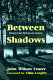 Between shadows : modern Irish writing and culture /