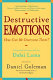 Destructive emotions : how can we overcome them? : a scientific dialogue with the Dalai Lama /