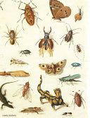 CRAWLY CREATURES : LITTLE ANIMALS IN ART AND SCIENCE.