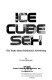 Ice cube sex : the truth about subliminal advertising /