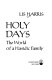 Holy days : the world of a Hasidic family /