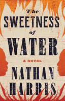 The sweetness of water : a novel /