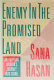 Enemy in the promised land : an Egyptian women's journey into Israel /