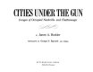 Cities under the gun : images of occupied Nashville and Chattanooga /