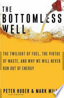The bottomless well : the twilight of fuel, the virtue of waste, and why we will never run out of energy /