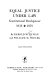 Equal justice under law : constitutional development, 1835-1875 /