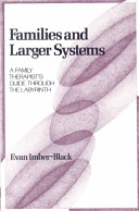 Families and larger systems : a family therapist's guide through the labyrinth /