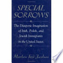 Special sorrows : the diasporic imagination of Irish, Polish, and Jewish immigrants in the United States /