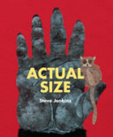 Actual size /