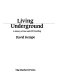 Living underground : a history of cave and cliff dwelling /