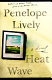 Heat wave : a novel /