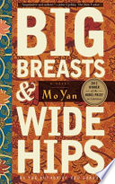 Big breasts & wide hips : a novel /