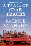 A trail of crab tracks /