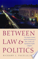 Between law & politics : the Solicitor General and the structuring of race, gender, and reproductive rights litigation /
