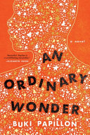 An ordinary wonder : a novel/