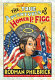 The mostly true adventures of Homer P. Figg /